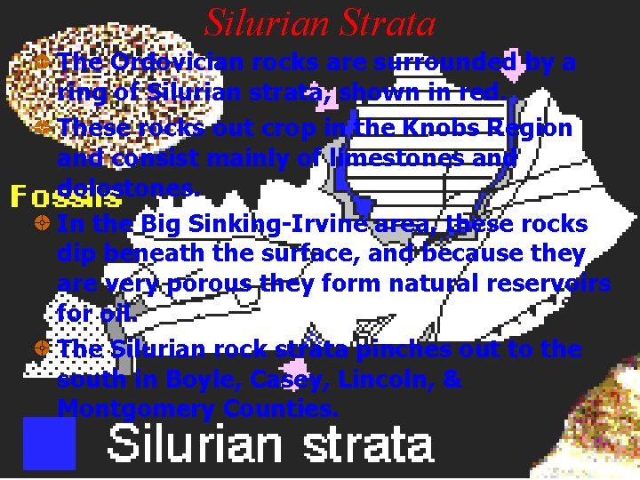 Silurian Strata The Ordovician rocks are surrounded by a ring of Silurian strata, shown