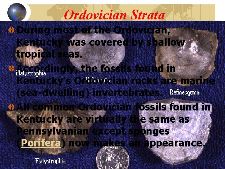 Ordovician Strata During most of the Ordovician, Kentucky was covered by shallow tropical seas.