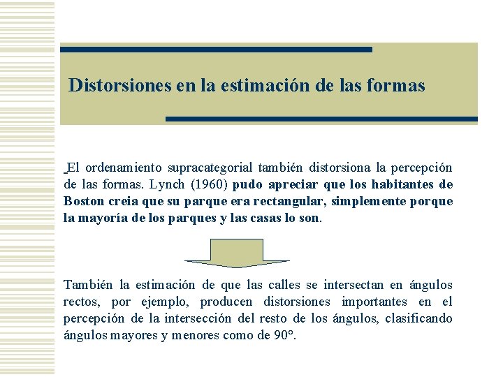 Distorsiones en la estimación de las formas El ordenamiento supracategorial también distorsiona la percepción Distorsiones en la estimación de las formas El ordenamiento supracategorial también distorsiona la percepción