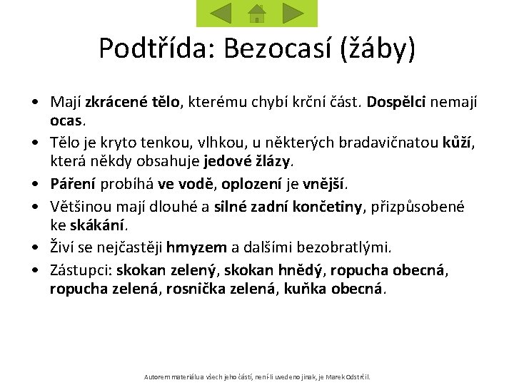 Podtřída: Bezocasí (žáby) • Mají zkrácené tělo, kterému chybí krční část. Dospělci nemají ocas.