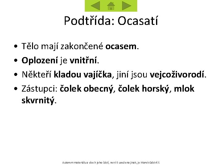 Podtřída: Ocasatí • • Tělo mají zakončené ocasem. Oplození je vnitřní. Někteří kladou vajíčka,