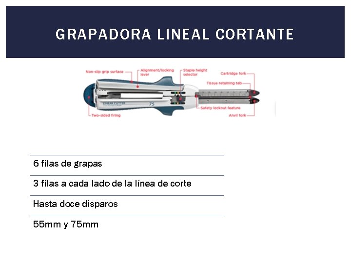 GRAPADORA LINEAL CORTANTE 6 filas de grapas 3 filas a cada lado de la