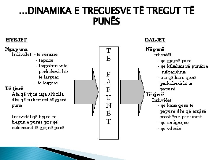 …DINAMIKA E TREGUESVE TË TREGUT TË PUNËS 