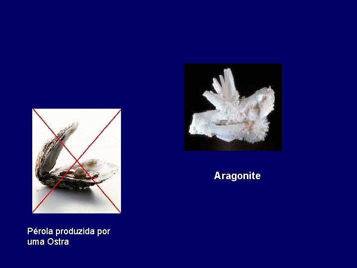 Aragonite Pérola produzida por uma Ostra 