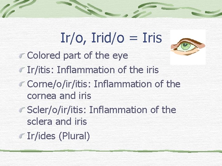 Ir/o, Irid/o = Iris Colored part of the eye Ir/itis: Inflammation of the iris