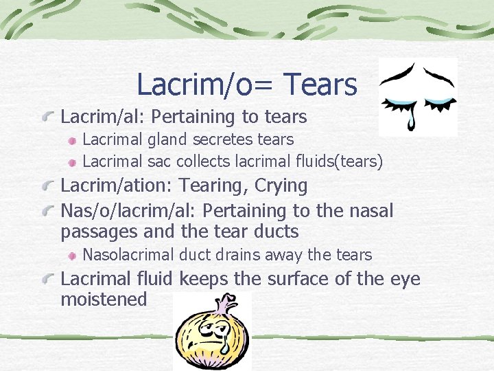 Lacrim/o= Tears Lacrim/al: Pertaining to tears Lacrimal gland secretes tears Lacrimal sac collects lacrimal