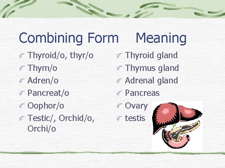 Combining Form Thyroid/o, thyr/o Thym/o Adren/o Pancreat/o Oophor/o Testic/, Orchid/o, Orchi/o Meaning Thyroid gland