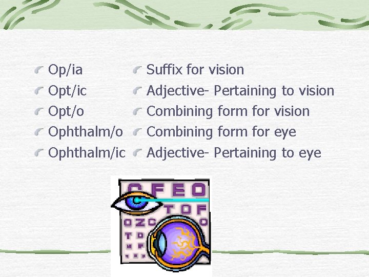 Op/ia Opt/ic Opt/o Ophthalm/ic Suffix for vision Adjective- Pertaining to vision Combining form for