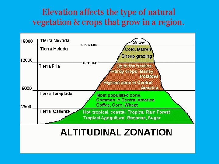 Elevation affects the type of natural vegetation & crops that grow in a region.