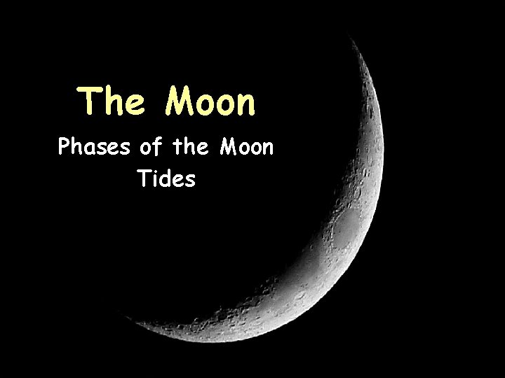 The Moon Phases of the Moon Tides 
