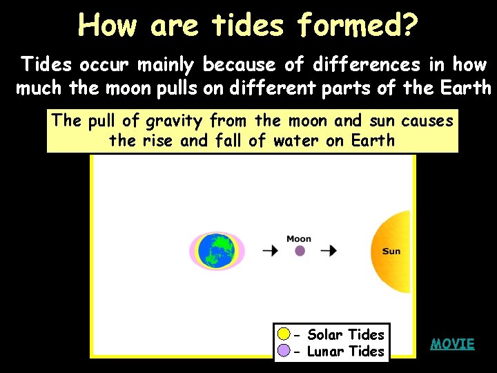 How are tides formed? Tides occur mainly because of differences in how much the