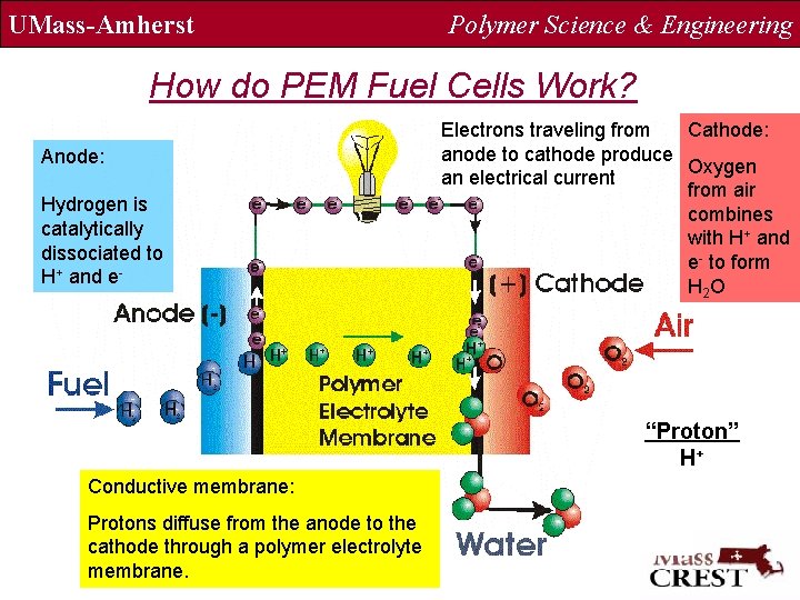 UMass-Amherst Polymer Science & Engineering How do PEM Fuel Cells Work? Anode: Hydrogen is