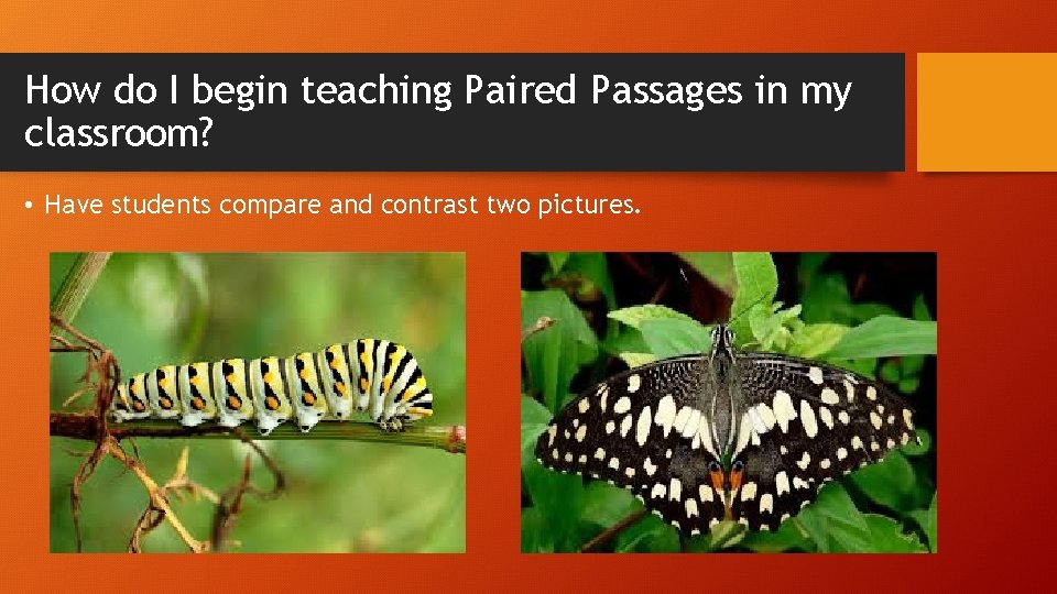 How do I begin teaching Paired Passages in my classroom? • Have students compare