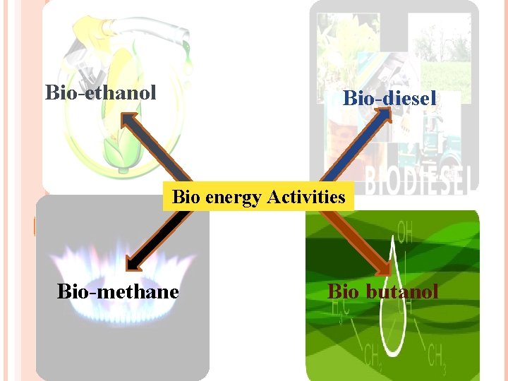 Bio-ethanol Bio-diesel Bio energy Activities Bio-methane Bio butanol 