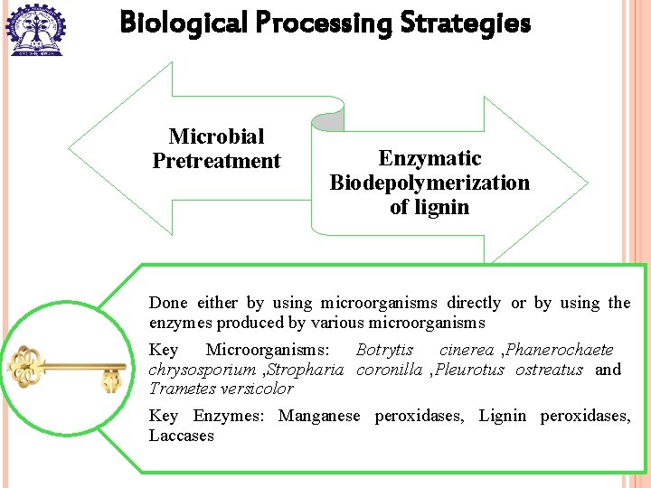 Biological Processing Strategies Microbial Pretreatment Enzymatic Biodepolymerization of lignin Done either by using microorganisms