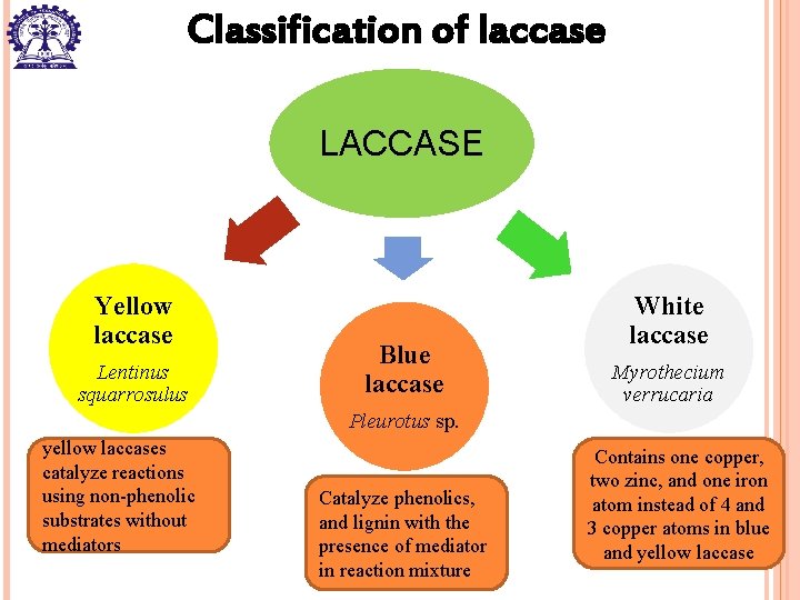 Classification of laccase LACCASE Yellow laccase Lentinus squarrosulus Blue laccase White laccase Myrothecium verrucaria