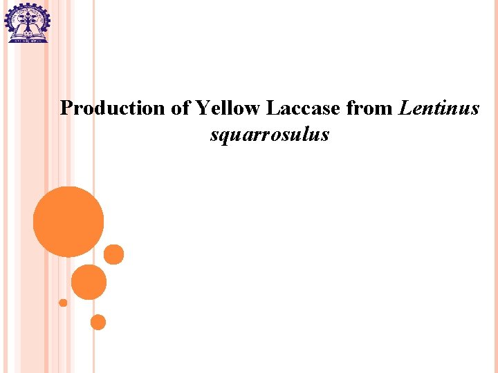 Production of Yellow Laccase from Lentinus squarrosulus 