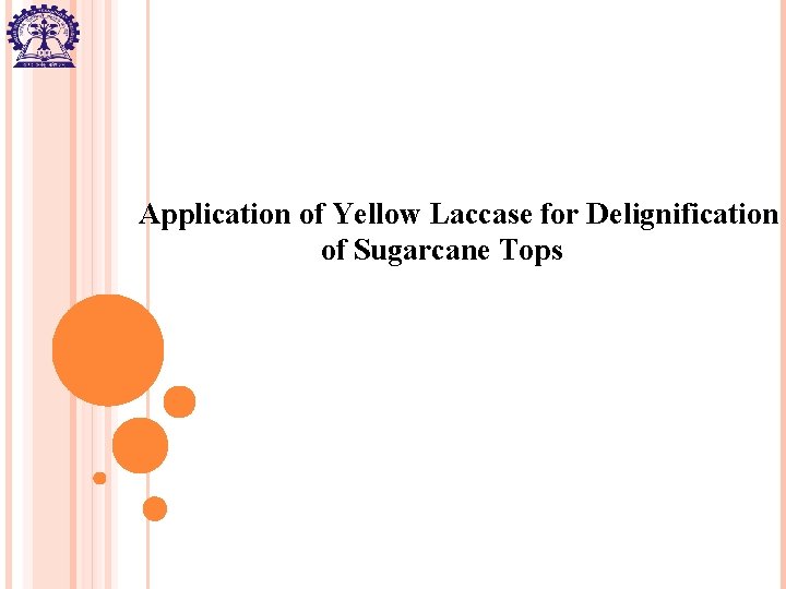 Application of Yellow Laccase for Delignification of Sugarcane Tops 