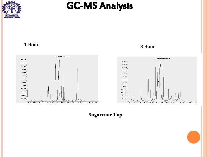 GC-MS Analysis 1 Hour 8 Hour Sugarcane Top 