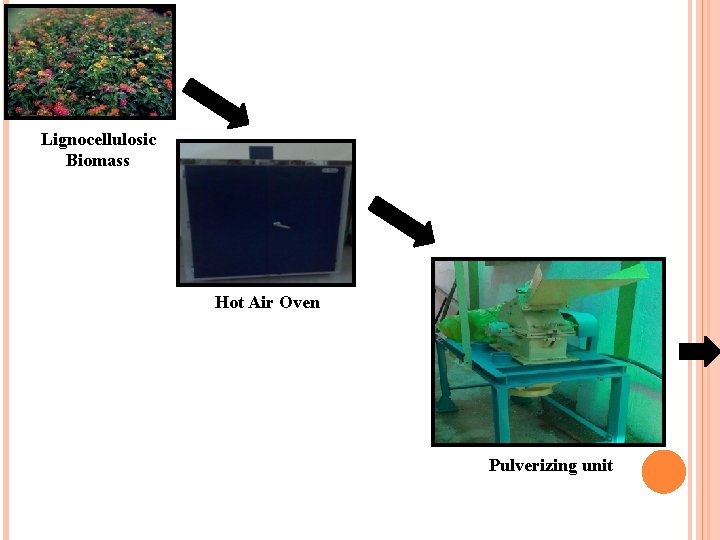 Lignocellulosic Biomass Hot Air Oven Pulverizing unit 