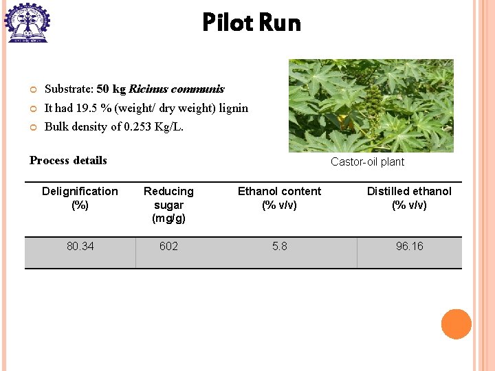 Pilot Run Substrate: 50 kg Ricinus communis It had 19. 5 % (weight/ dry