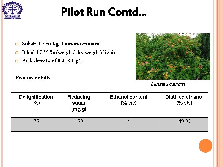 Pilot Run Contd… Substrate: 50 kg Lantana camara It had 17. 56 % (weight/