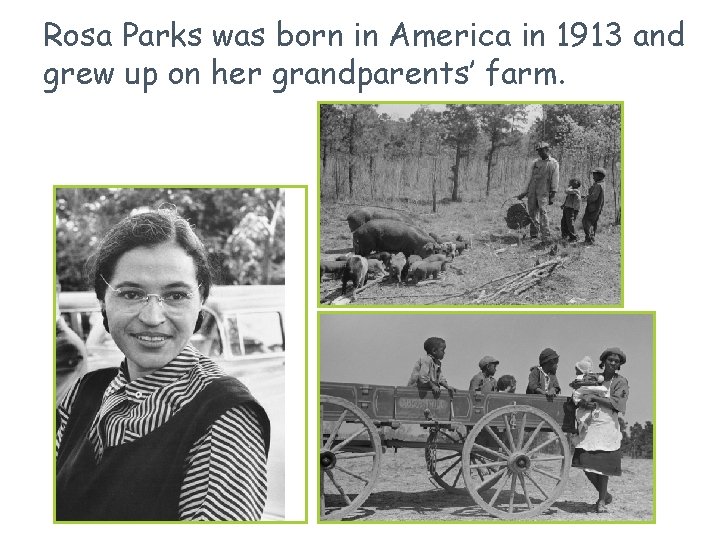 Rosa Parks was born in America in 1913 and grew up on her grandparents’ Rosa Parks was born in America in 1913 and grew up on her grandparents’