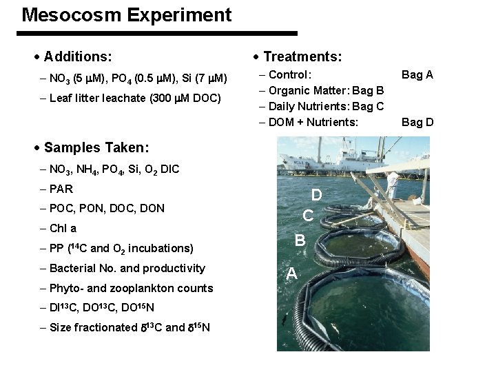 Mesocosm Experiment · Additions: – NO 3 (5 m. M), PO 4 (0. 5