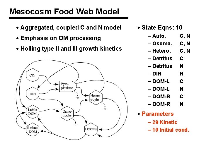 Mesocosm Food Web Model · Aggregated, coupled C and N model · Emphasis on