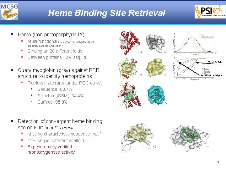Heme Binding Site Retrieval § Heme (iron-protoporphyrin IX) § Multi-functional (i. e. oxygen binding/transport,
