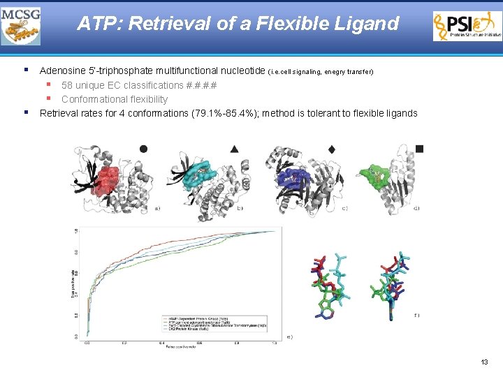 ATP: Retrieval of a Flexible Ligand § Adenosine 5’-triphosphate multifunctional nucleotide (i. e. cell