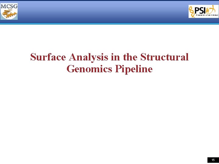 Surface Analysis in the Structural Genomics Pipeline 15 