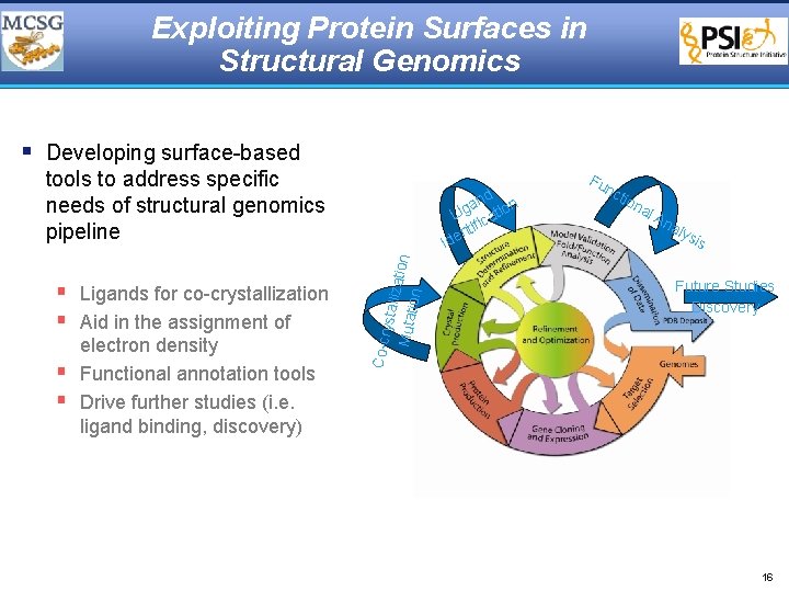 Exploiting Protein Surfaces in Structural Genomics § Developing surface-based tools to address specific needs