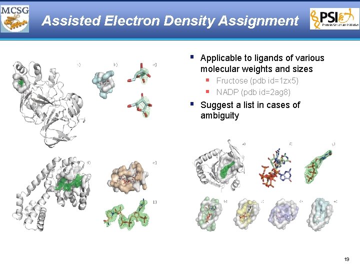 Assisted Electron Density Assignment § Applicable to ligands of various molecular weights and sizes