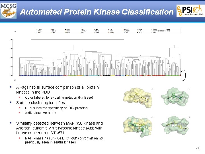 Automated Protein Kinase Classification § All-against-all surface comparison of all protein kinases in the