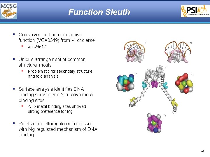 Function Sleuth § Conserved protein of unknown function (VCA 0319) from V. cholerae §