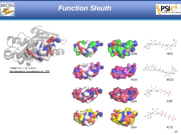 Function Sleuth 1 bdb NAD 1 hoh MGD 2 qwr ANP 1 jbw ACQ