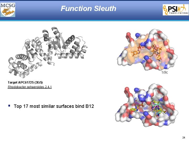 Function Sleuth 1 i 9 c Target APC 61725 (3 fz 5) Rhodobacter sphaeroides