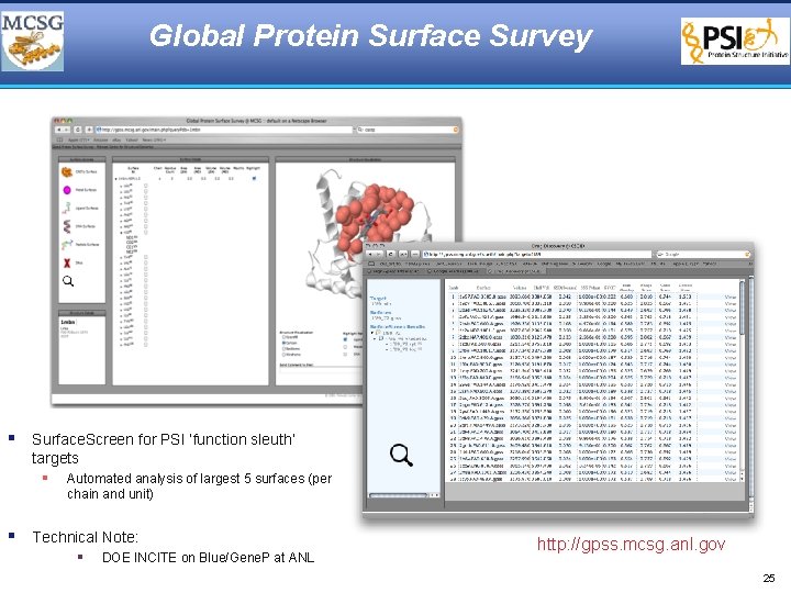 Global Protein Surface Survey § Surface. Screen for PSI ‘function sleuth’ targets § Automated