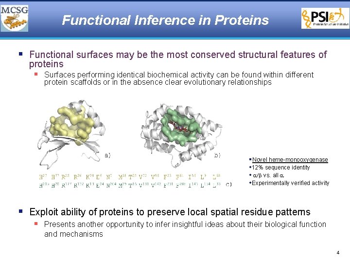 Functional Inference in Proteins § Functional surfaces may be the most conserved structural features