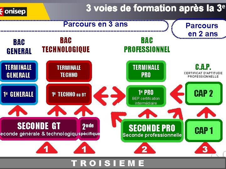 e La voie professio Parcours en 3 ans BAC GENERAL BAC TECHNOLOGIQUE BAC PROFESSIONNEL