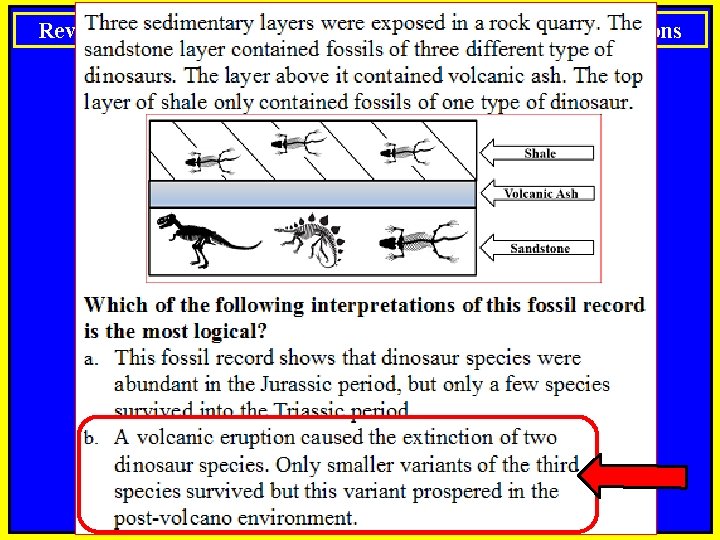 Review Questions Notes: Standard 09 Review Questions 