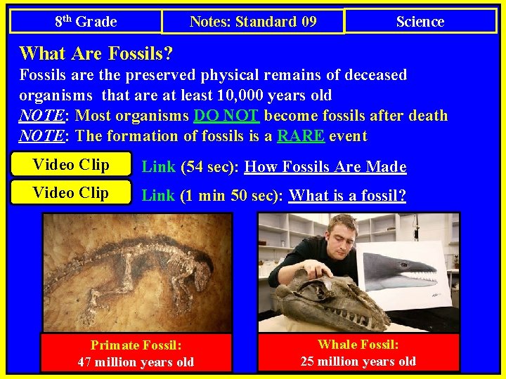 Notes: Standard 09 8 th Grade Science What Are Fossils? Fossils are the preserved