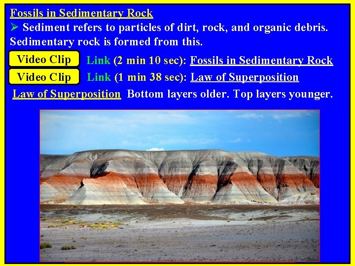 Fossils in Sedimentary Rock Ø Sediment refers to particles of dirt, rock, and organic