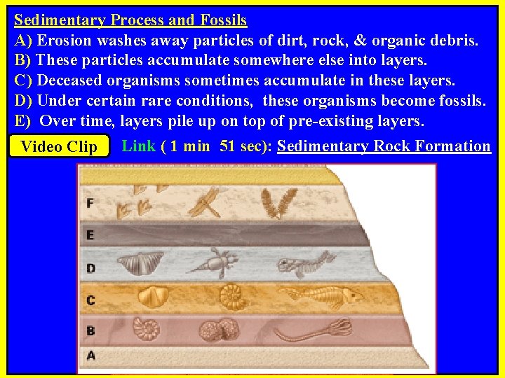 Sedimentary Process and Fossils A) Erosion washes away particles of dirt, rock, & organic