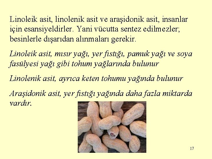 Linoleik asit, linolenik asit ve araşidonik asit, insanlar için esansiyeldirler. Yani vücutta sentez edilmezler;