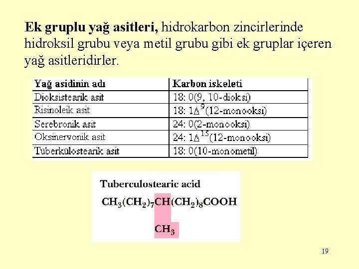 Ek gruplu yağ asitleri, hidrokarbon zincirlerinde hidroksil grubu veya metil grubu gibi ek gruplar