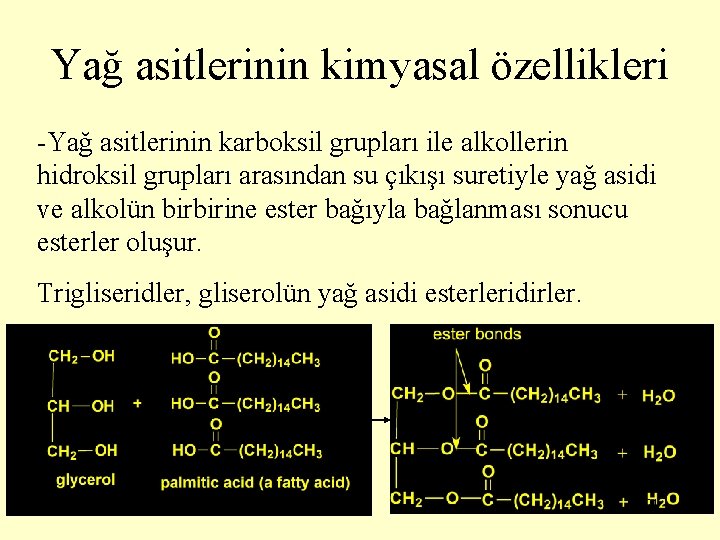 Yağ asitlerinin kimyasal özellikleri -Yağ asitlerinin karboksil grupları ile alkollerin hidroksil grupları arasından su