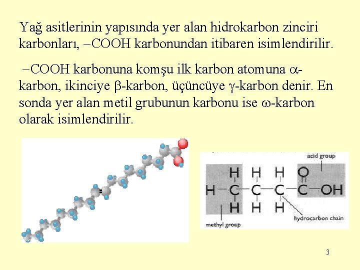 Yağ asitlerinin yapısında yer alan hidrokarbon zinciri karbonları, COOH karbonundan itibaren isimlendirilir. COOH karbonuna