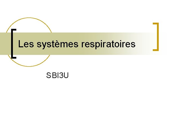 Les systèmes respiratoires SBI 3 U 